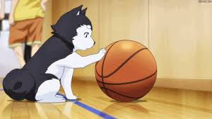 Basketball